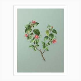 Vintage Crossberry Botanical Art on Mint Green n.0437 Art Print