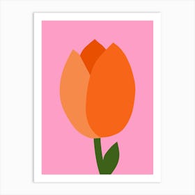 Tulip Pink And Orange Art Print