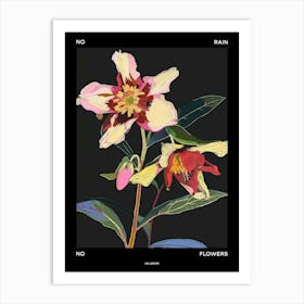 No Rain No Flowers Poster Hellebore 1 Art Print