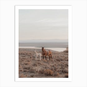 Mama And Baby Horse Art Print