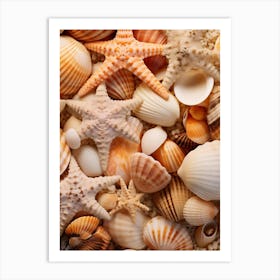 Starfish And Shells Art Print