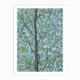 Quaking 2 Aspen tree Vintage Botanical Art Print