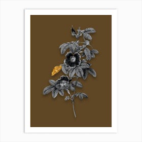 Vintage Single May Rose Black and White Gold Leaf Floral Art on Coffee Brown n.0716 Art Print