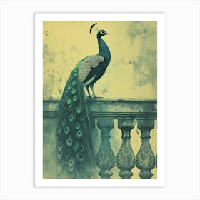 Vintage Peacock On A Banister Cyanotype Inspired 3 Art Print