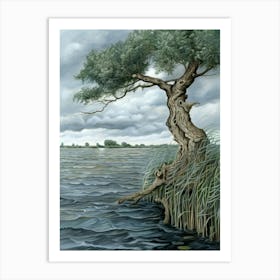 Tree By The Water Art Print