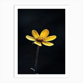 Yellow Flower 4 Art Print