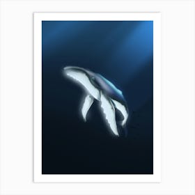 Humpback Whale Art Print