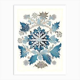 Snowflakes In The Snow,  Snowflakes Vintage Botanical 1 Art Print