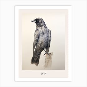 Vintage Bird Drawing Raven 2 Poster Art Print