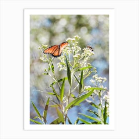 Monarch Butterfly & Bee Art Print