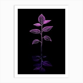 Purple Leaf On Black Background Art Print