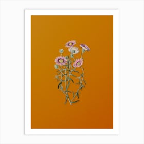 Vintage Hoary Diplopappus Flower Botanical on Sunset Orange n.0767 Art Print