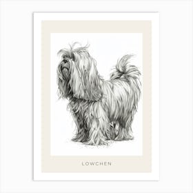 Lowchen Dog Line Sketch Poster Art Print