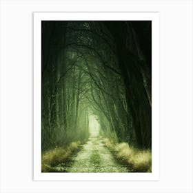 Dark Forest Path Art Print