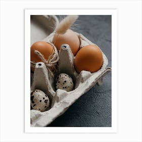 Eggs In A Carton 27 Art Print