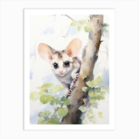 Light Watercolor Painting Of A Sugar Glider 6 Art Print