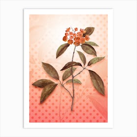 Mountain Laurel Vintage Botanical in Peach Fuzz Polka Dot Pattern n.0105 Art Print