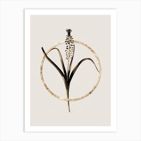 Gold Ring Grape Hyacinth Glitter Botanical Illustration n.0219 Art Print