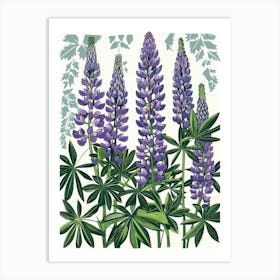 Lupine 2 Art Print