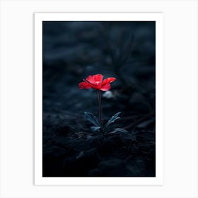 Dark Flower 26 Art Print