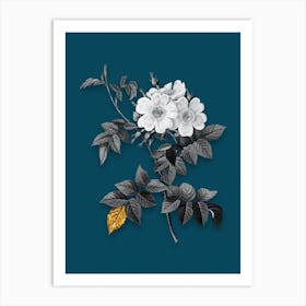 Vintage White Rosebush Black and White Gold Leaf Floral Art on Teal Blue n.0198 Art Print