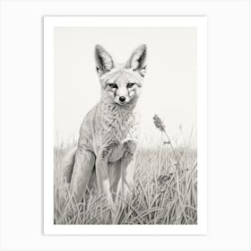 Bengal Fox In A Field Pencil Drawing 4 Art Print