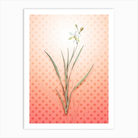 Ixia Anemonae Flora Vintage Botanical in Peach Fuzz Polka Dot Pattern n.0050 Art Print