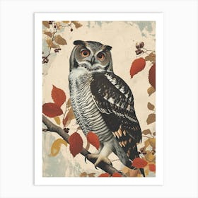 Northern Hawk Owl Vintage Illustration 4 Art Print