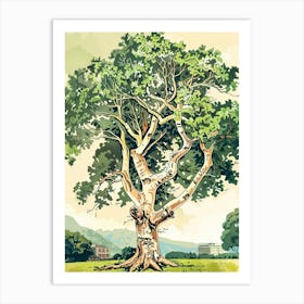 Linden Tree Storybook Illustration 2 Art Print