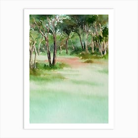 Addo Elephant National Park South Africa Water Colour Poster Art Print