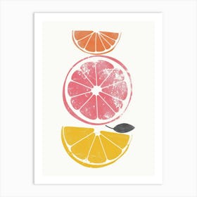 Citrus Slices 8 Art Print