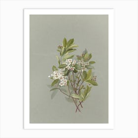 Larkspur Art Print