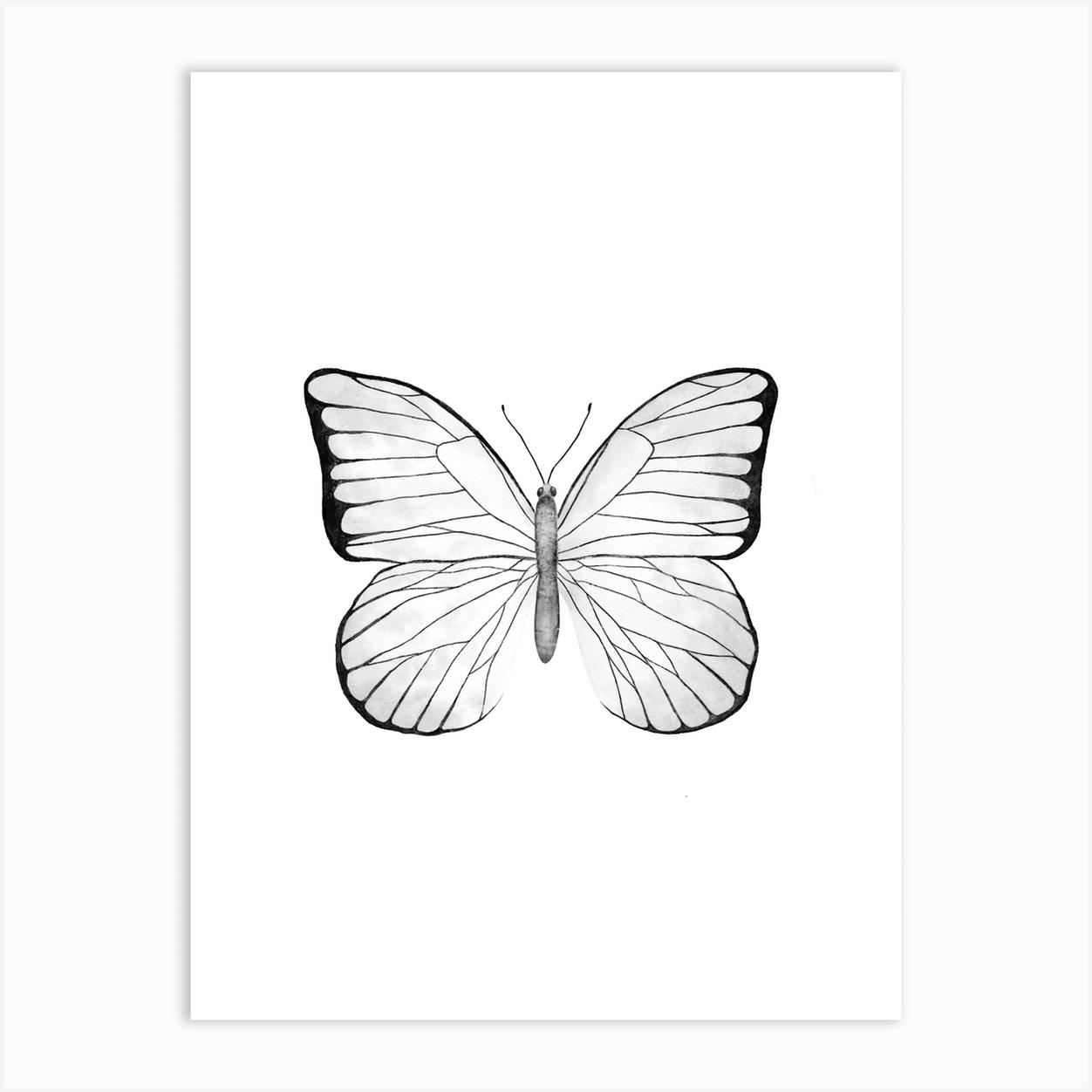 black and white butterfly