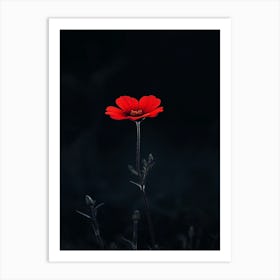 Single Red Flower 4 Art Print