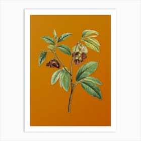 Vintage Papaw Tree Branch Botanical on Sunset Orange n.0725 Art Print