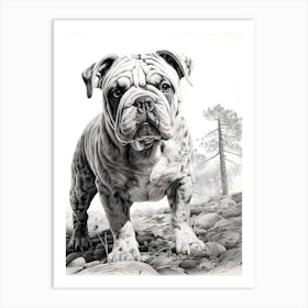 Paws & Poses Art Print