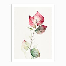 Wild Rose Leaf Minimalist Watercolour 2 Art Print