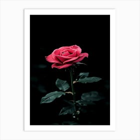 Dark Rose 137 Art Print