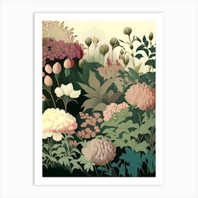 Mixed Perennial Beds Of Peonies 1 Vintage Sketch Art Print