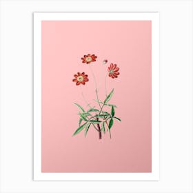 Vintage Cosmos Flower Branch Botanical on Soft Pink n.0373 Art Print