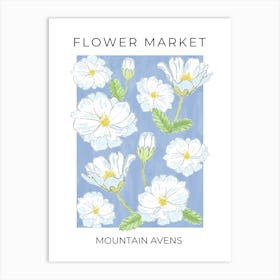 Flower Market Mountain Avens - white flowers on blue Art Print