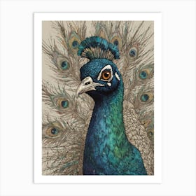 Peacock 21 Art Print