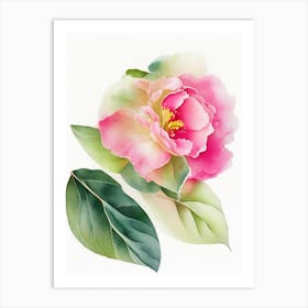 Camellia Wildflower Watercolour 2 Art Print