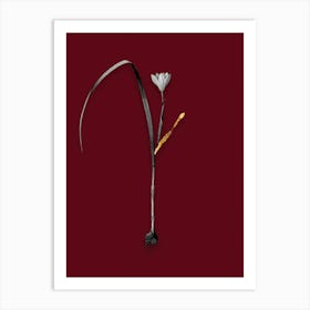 Vintage Cape Tulip Black and White Gold Leaf Floral Art on Burgundy Red n.0458 Art Print