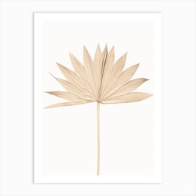 Palm Leaf 1 Art Print