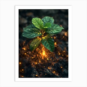 Firefly Plant Art Print