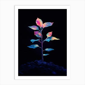 Rainbow Plant 12 Art Print