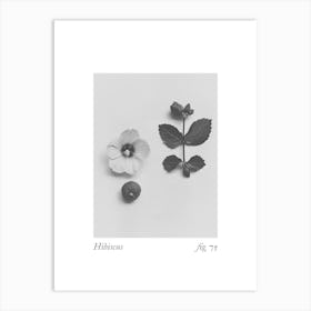 Hibiscus Botanical Collage 1 Art Print