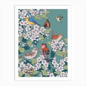Hedgrow Birds And Hawthorn Blossom Art Print