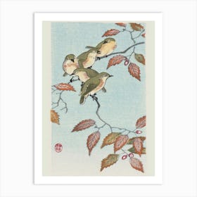 Birds On A Branch (1900 1936), Ohara Koson Art Print